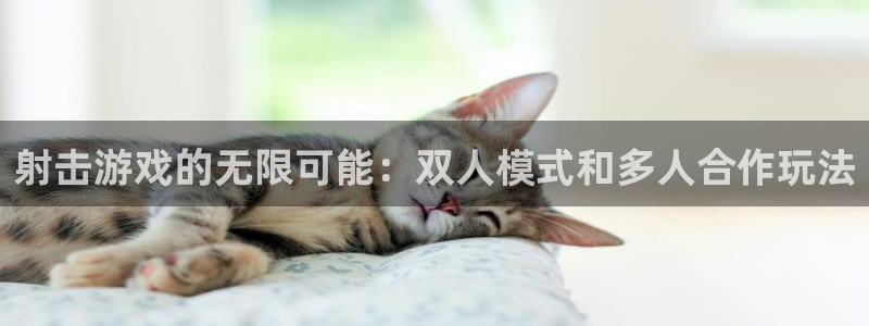 沐鸣2测速：射击游戏的无限可能：双人模式和多人合作玩法