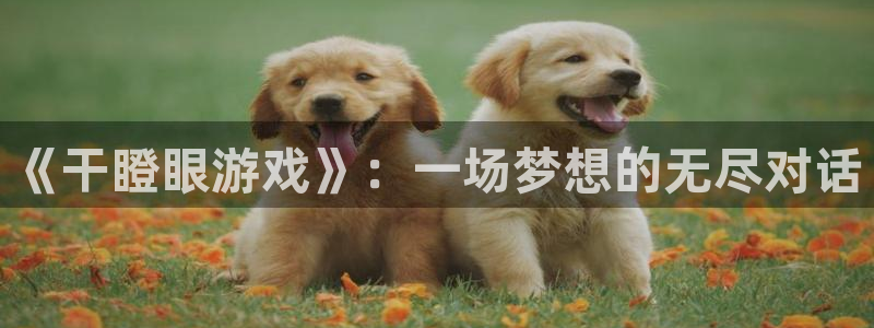 沐鸣2登录步骤：《干瞪眼游戏》：一场梦想的无尽对话