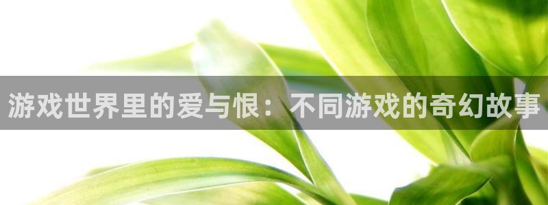 沐鸣2登录优先渠道：游戏世界里的爱与恨：不同游戏的奇幻故事