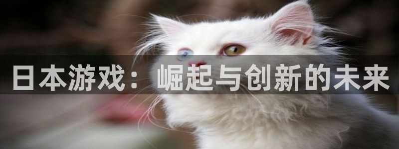 沐鸣2账号注册：日本游戏：崛起与创新的未来