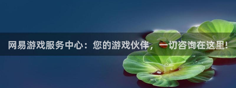 沐鸣2注册网站：网易游戏服务中心：您的游戏伙伴，一切咨询在这